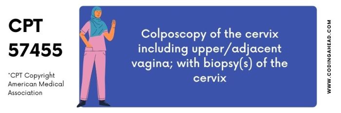 Anoscopy with biopsy cpt code