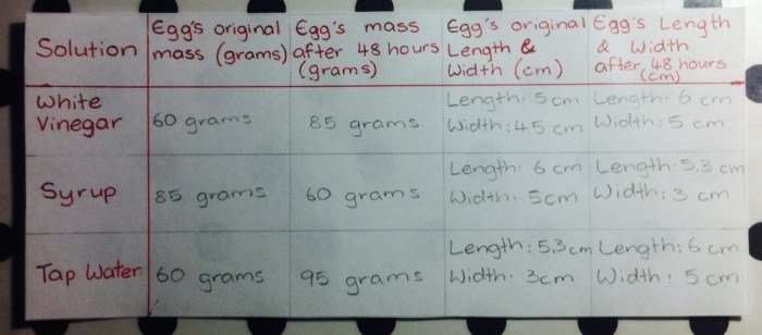 Osmosis egg experiment lab report