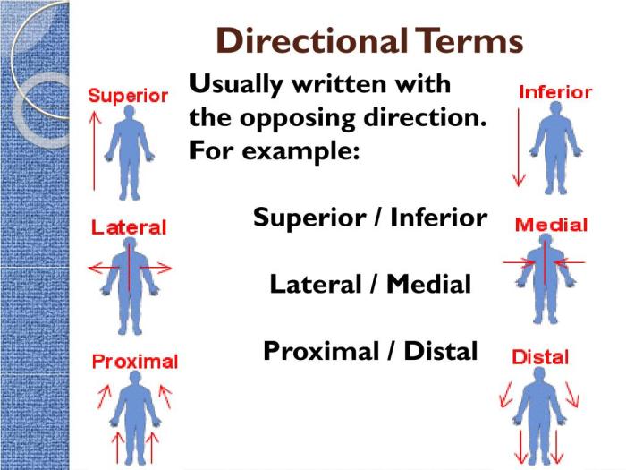 Label each of the directional arrows.