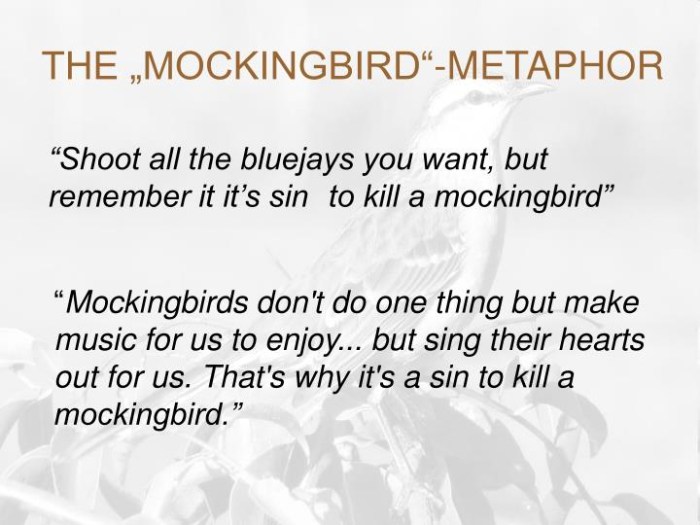 Metaphors from to kill a mockingbird