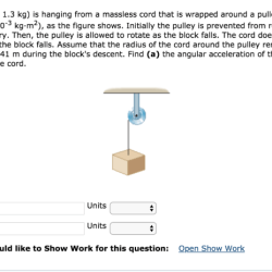 A block is hanging from a massless cord