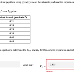 A kinetic study of an intestinal peptidase using glycylglycine