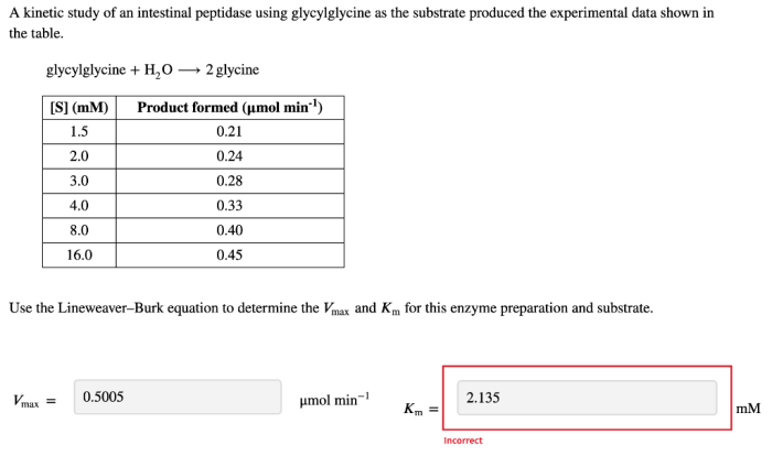 A kinetic study of an intestinal peptidase using glycylglycine