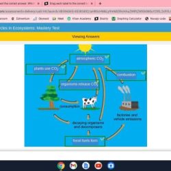 Label drag diagram correct each used once than location explanation but