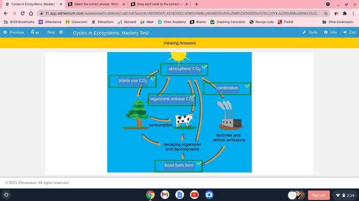 Label drag diagram correct each used once than location explanation but