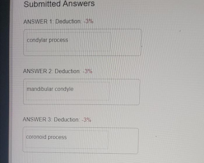 Pal cadaver axial skeleton skull lab practical question 16