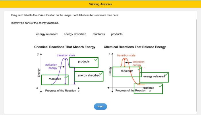 Drag each label to the correct location on the diagram