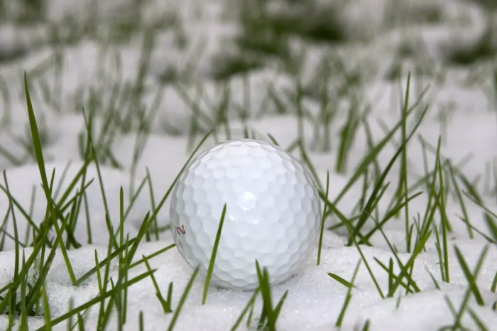 How much does elevation affect golf ball distance