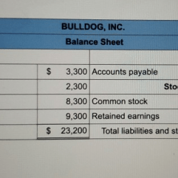 Incomplete statements financial below amounts calculate missing required question bulldog answered hasn expert ask yet been