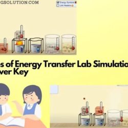 Types of energy transfer lab simulation answer key