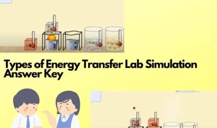 Types of energy transfer lab simulation answer key