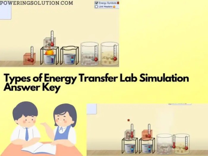 Types of energy transfer lab simulation answer key